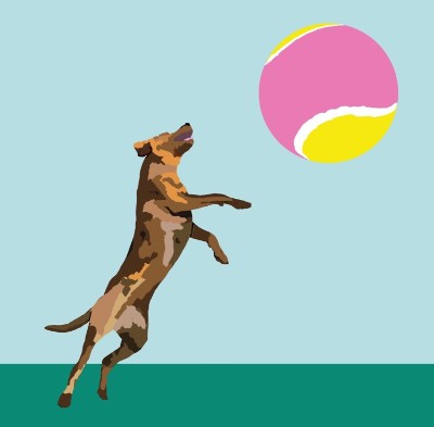 Walled Garden Pet Adventures Ltd